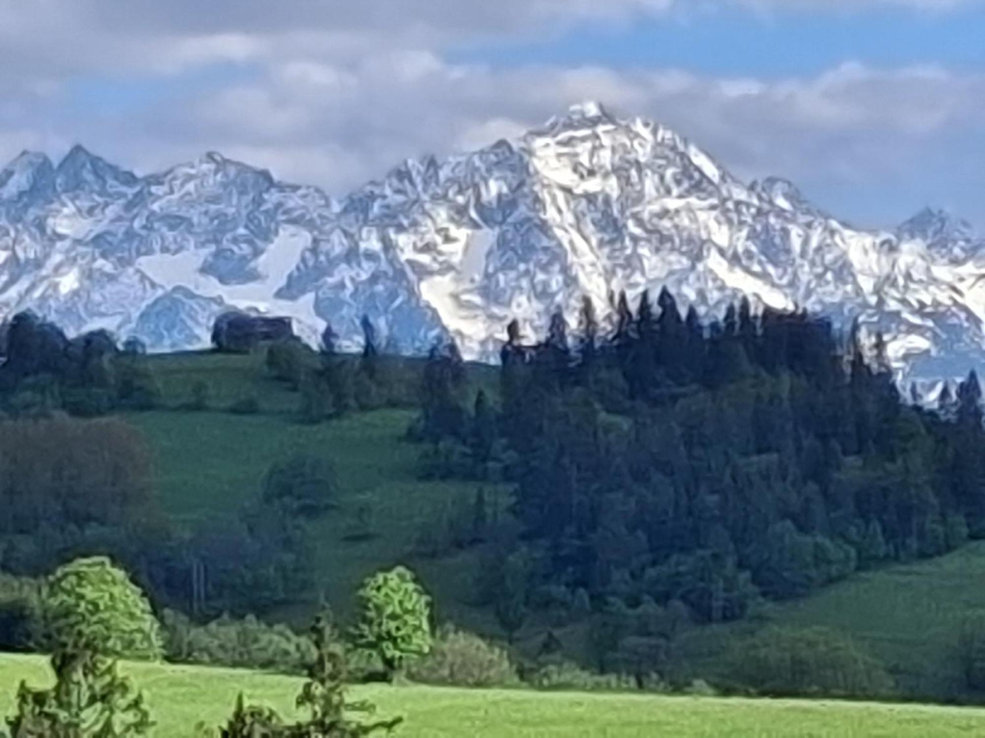 Dom Z Widokiem Na Wierchy - Panorama Na Tatry - Traditional Folk House Gliczarow Luaran gambar